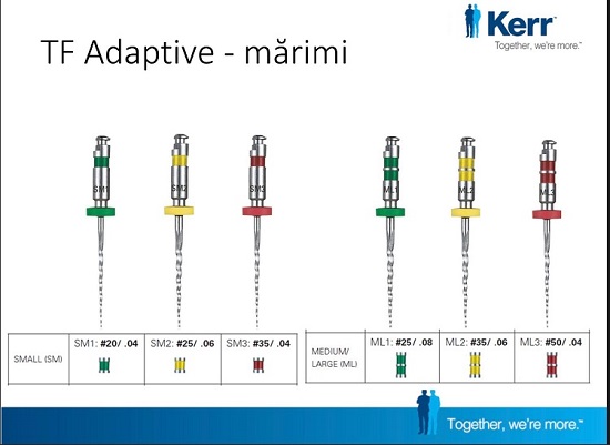 CONURI GUTAPERCA TF ADAPTATIVE